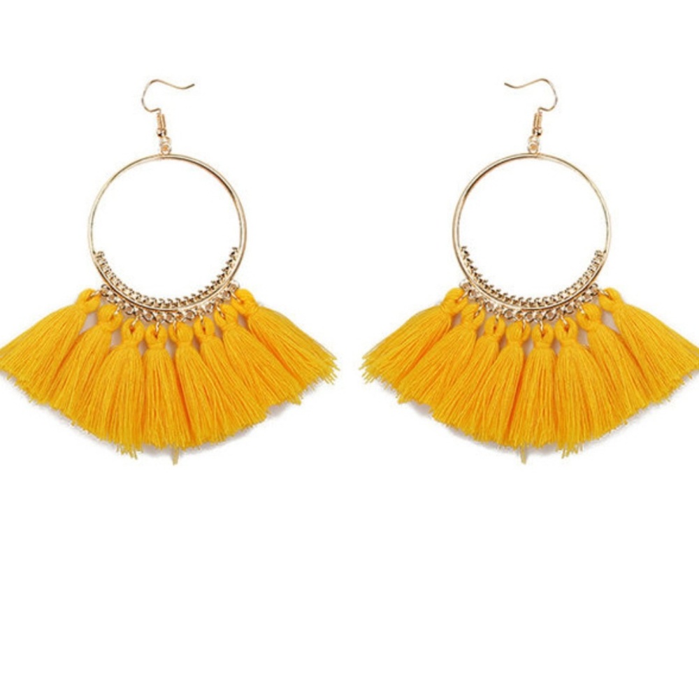 3 for $30 🍍 Bohemian Tassle Fan Earrings